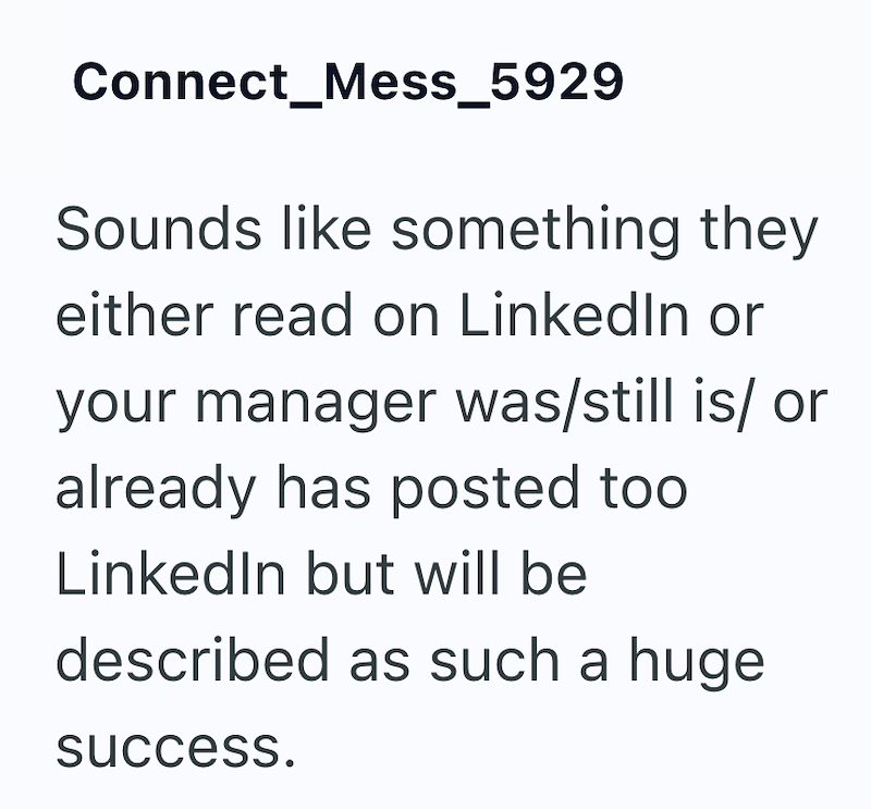 Connect_Mess_5929 Sounds like something they either read on LinkedIn or your manager was/still is/ or already has posted too LinkedIn but will be described as such a huge success.