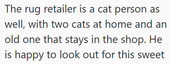 The rug retailer is a cat person as well, with two cats at home and an old one that stays in the shop. He is happy to look out for this sweet