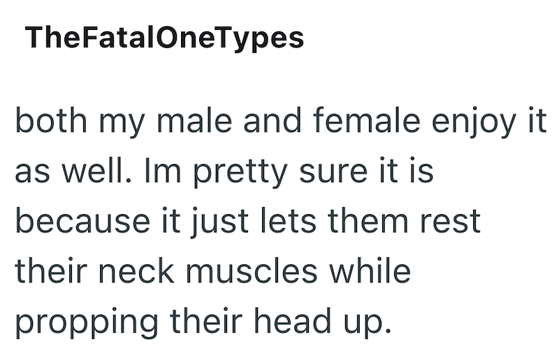 TheFatalOneTypes both my male and female enjoy it as well. Im pretty sure it is because it just lets them rest their neck muscles while propping their head up.