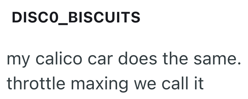 DISCO_BISCUITS my calico car does the same. throttle maxing we call it