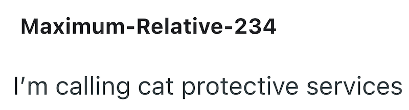 Maximum-Relative-234 I'm calling cat protective services