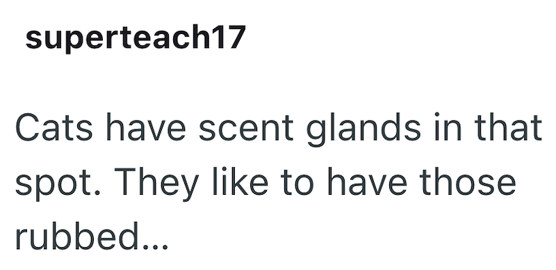 superteach17 Cats have scent glands in that spot. They like to have those rubbed...