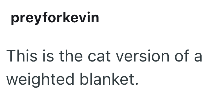 preyforkevin This is the cat version of a weighted blanket.
