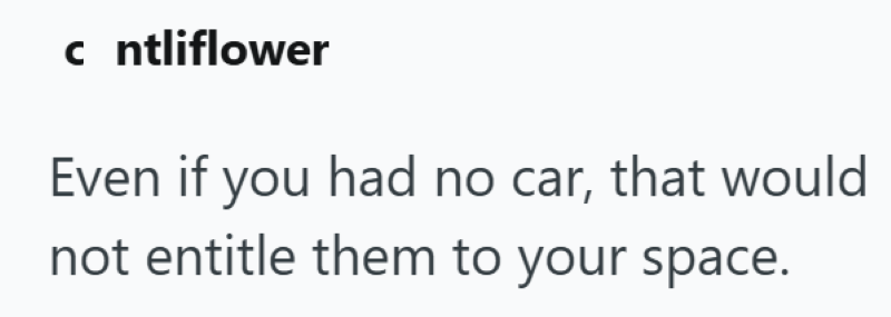 c ntliflower C Even if you had no car, that would not entitle them to your space.