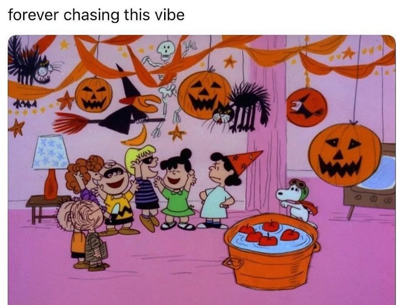 forever chasing this vibe brau