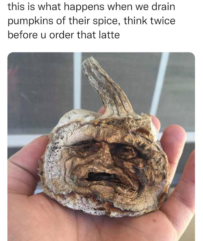 this is what happens when we drain pumpkins of their spice, think twice before u order that latte