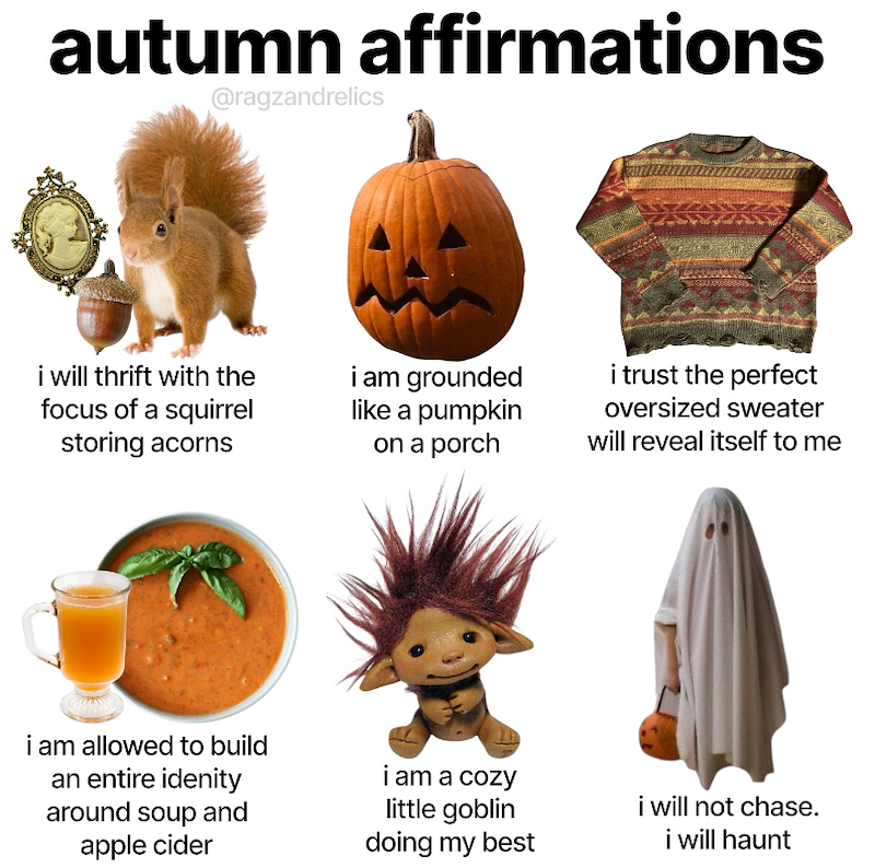 autumn affirmations @ragzandrelics i will thrift with the focus of a squirrel storing acorns i am grounded like a pumpkin on a porch i trust the perfect oversized sweater will reveal itself to me i am allowed to build an entire idenity around soup and apple cider i am a cozy little goblin doing my best i will not chase. i will haunt