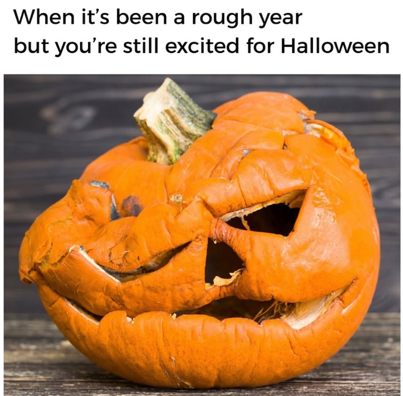 When it's been a rough year but you're still excited for Halloween