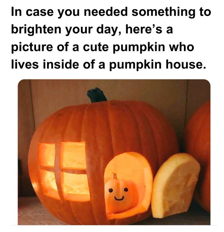 In case you needed something to brighten your day, here's a picture of a cute pumpkin who lives inside of a pumpkin house.