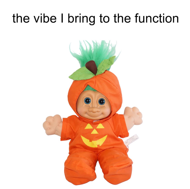 the vibe I bring to the function