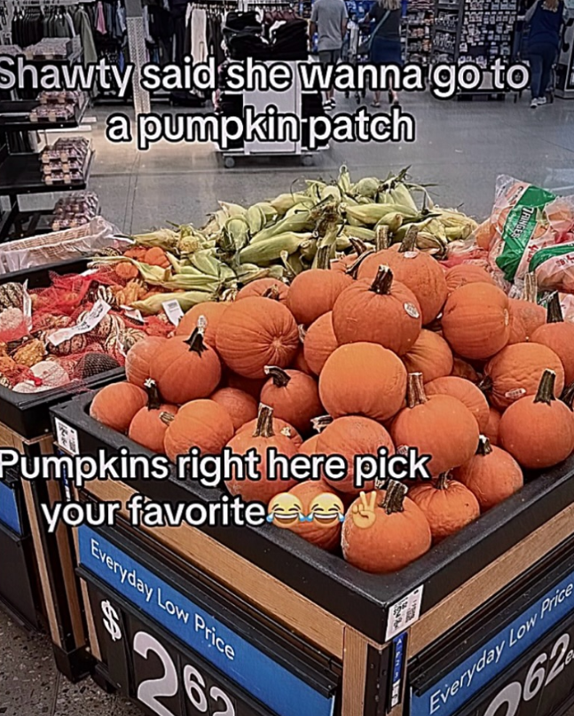 Shawty said she wanna go to a pumpkin patch Pumpkins right here pick your favoritese Everyday Low Price 62 67 25 Everyday Low Price 762