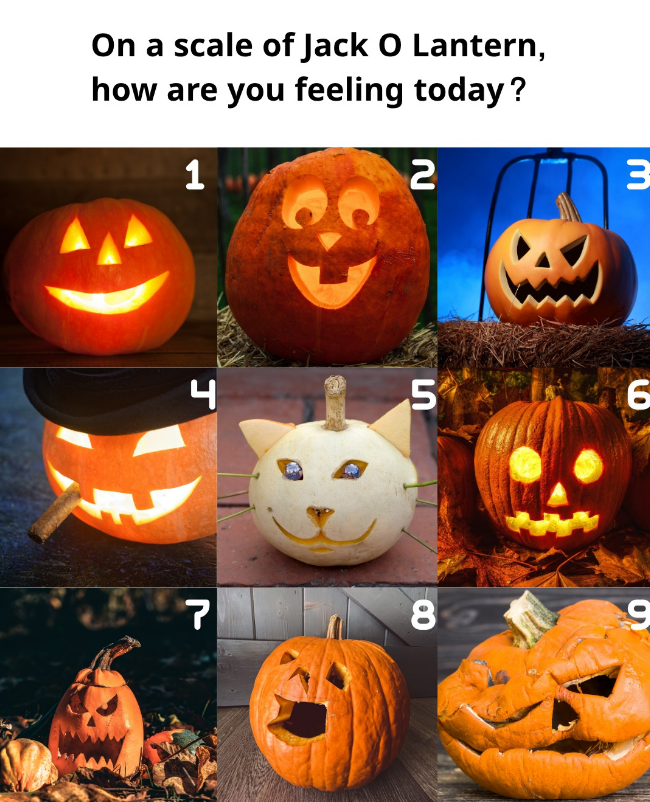 On a scale of Jack O Lantern, how are you feeling today? 1 2 3 4 5 6 7 8