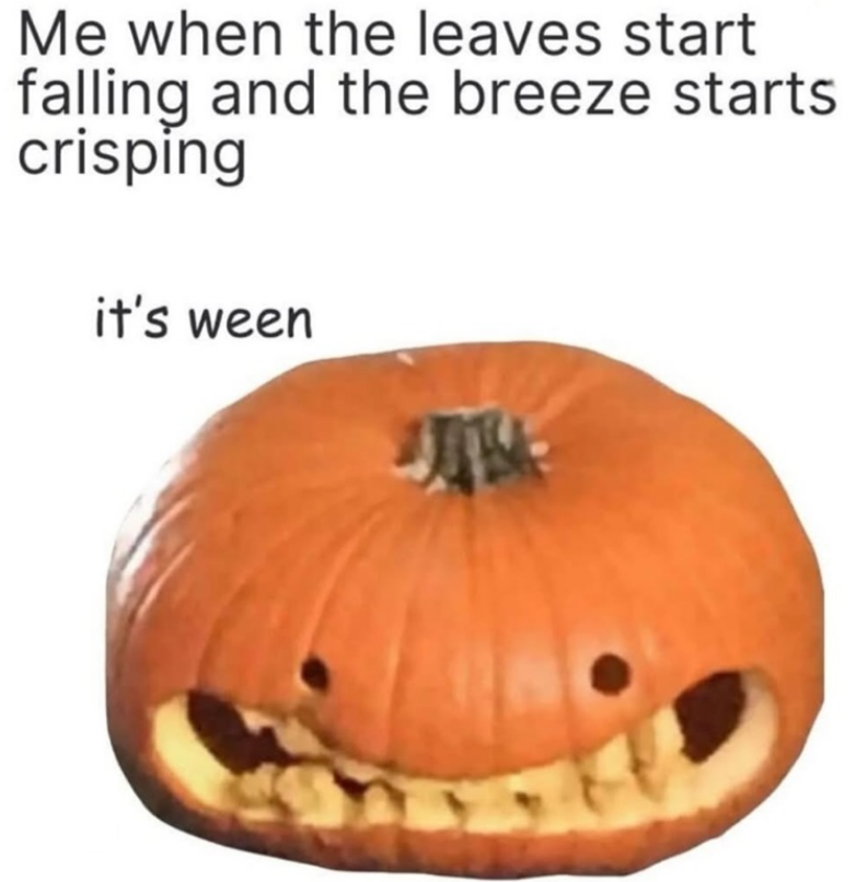 Me when the leaves start falling and the breeze starts. crisping it's ween 椰