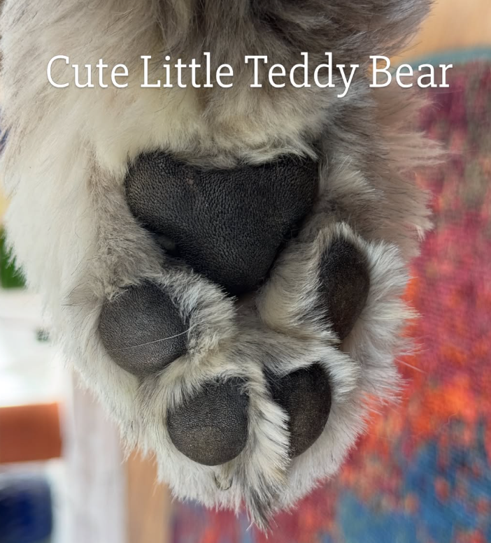 Cute Little Teddy Bear