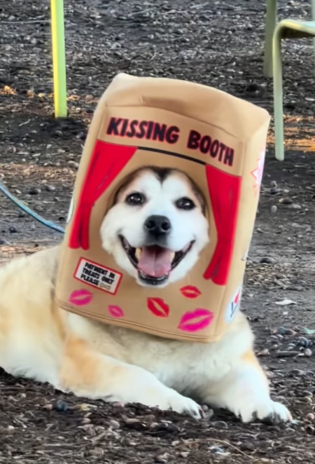 KISSING BOOTH TREATS PLEASE