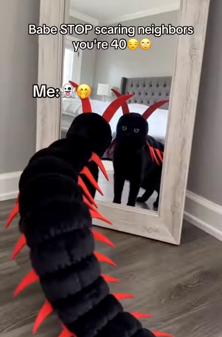 Babe STOP scaring neighbors you're 405 Me: ***