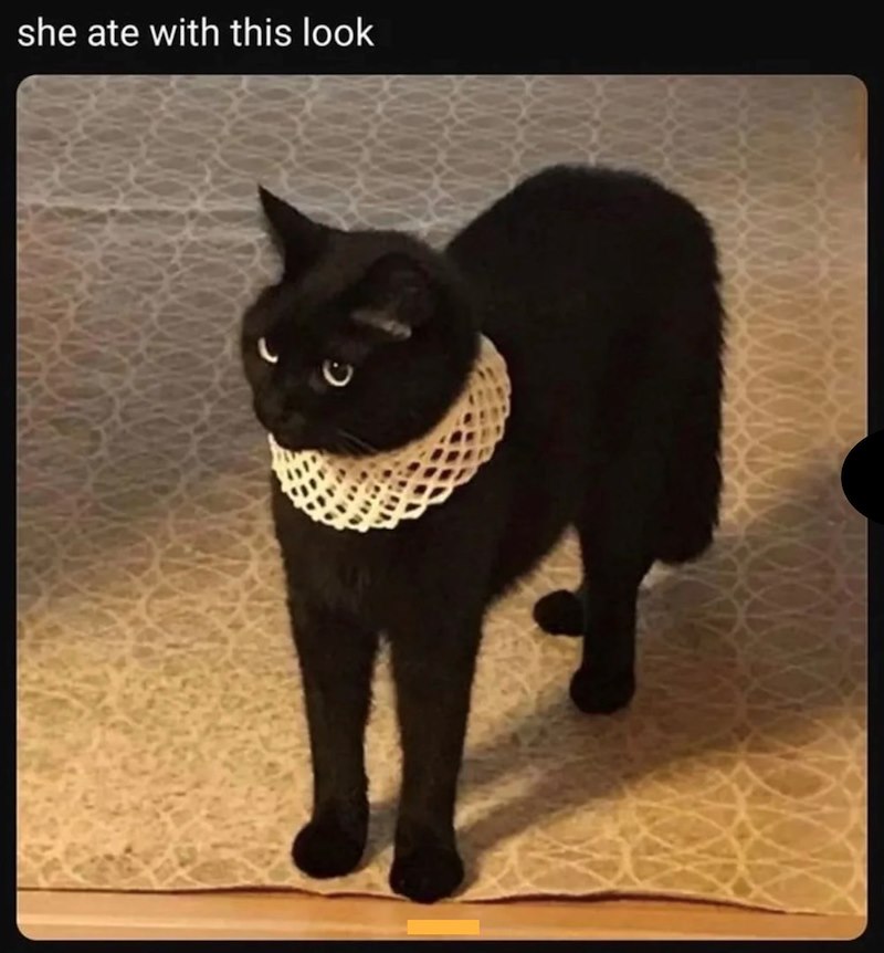 she ate with this look