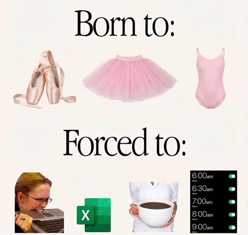 Born to: Forced to: 6:00am A X 6:30am 7:00am Aarn 8:00am Aimes 9:00am