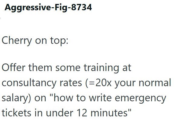 Aggressive-Fig-8734 Cherry on top: Offer them some training at consultancy rates (=20x your normal salary) on "how to write emergency tickets in under 12 minutes"