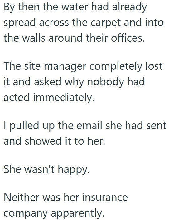 By then the water had already spread across the carpet and into the walls around their offices. The site manager completely lost it and asked why nobody had acted immediately. I pulled up the email she had sent and showed it to her. She wasn't happy. Neither was her insurance company apparently.