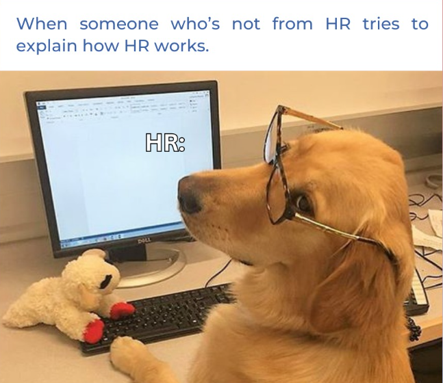 When someone who's not from HR tries to explain how HR works. HR: DOLL Ω