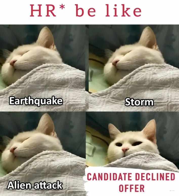 HR* be like Earthquake Storm CANDIDATE DECLINED Alien attack OFFER