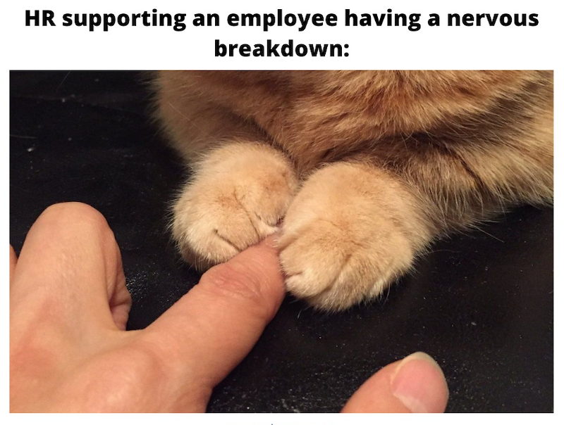 HR supporting an employee having a nervous breakdown: