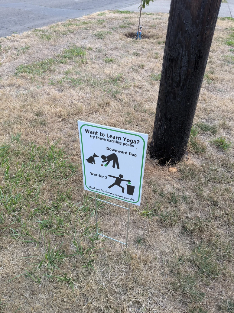 Want to Learn Yoga? try these exciting poses Downward Dog Warrior 2 * thank you for cleaning up after your dog
