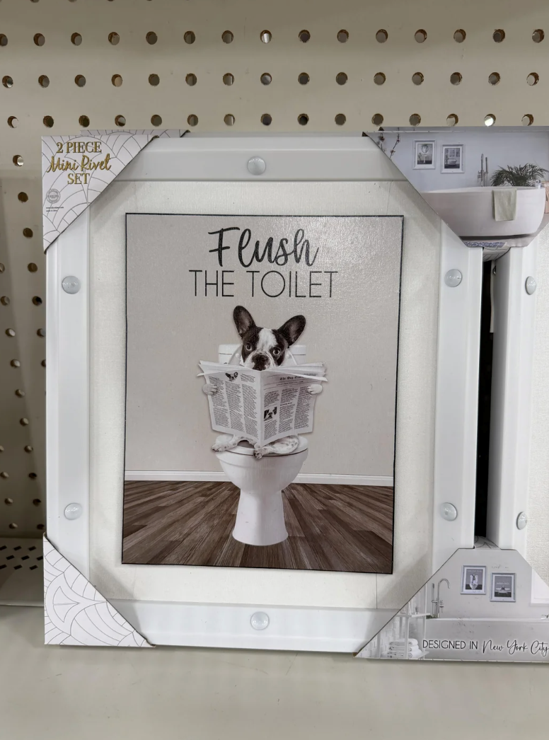 C 2 PIECE Mini Rivet SET Flush THE TOILET DESIGNED IN New York City