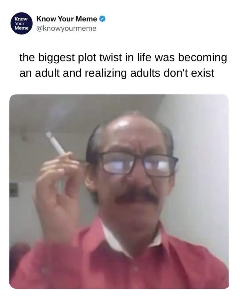 Know Your Know Your Meme Meme @knowyourmeme the biggest plot twist in life was becoming an adult and realizing adults don't exist