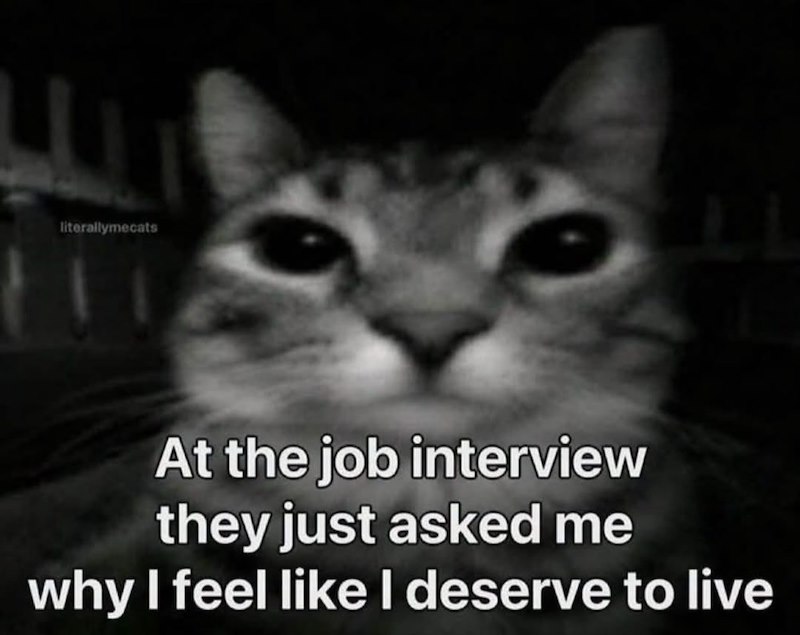literallymecats At the job interview they just asked me why I feel like I deserve to live