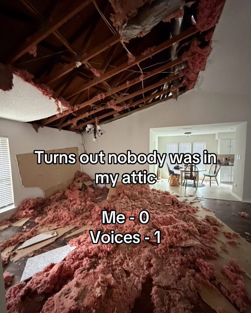 Turns out nobody was in my attic Me-0 Voices-1