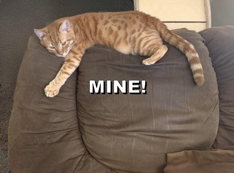 MINE!