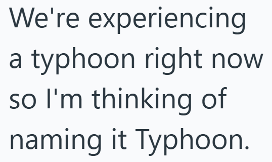 We're experiencing a typhoon right now so I'm thinking of naming it Typhoon.