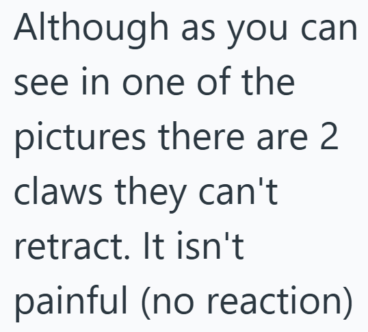 Although as you can see in one of the pictures there are 2 claws they can't retract. It isn't painful (no reaction)