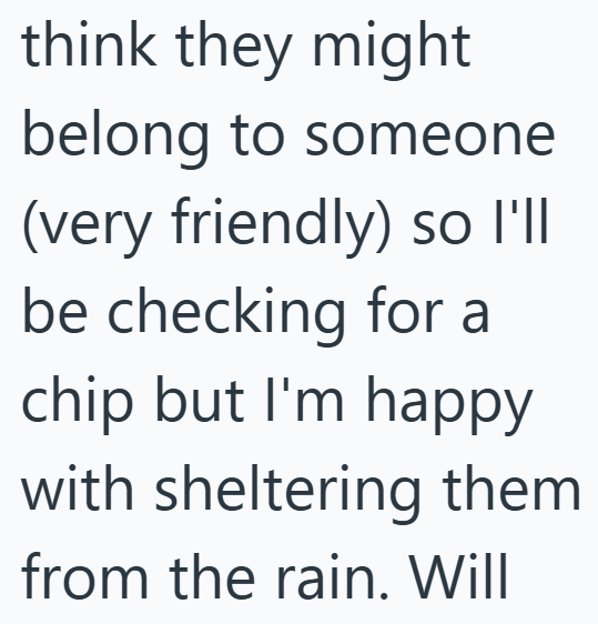 think they might belong to someone (very friendly) so I'll be checking for a chip but I'm happy with sheltering them from the rain. Will