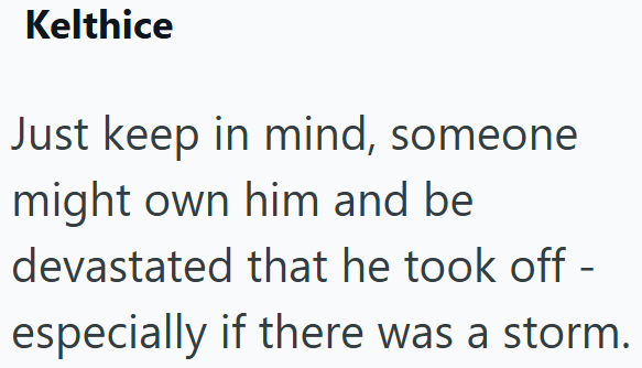 Kelthice Just keep in mind, someone might own him and be devastated that he took off - especially if there was a storm.