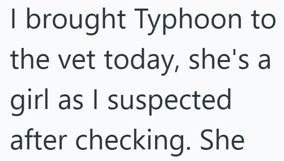 I brought Typhoon to the vet today, she's a girl as I suspected after checking. She