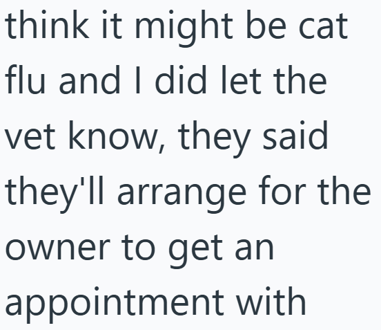 think it might be cat flu and I did let the vet know, they said they'll arrange for the owner to get an appointment with