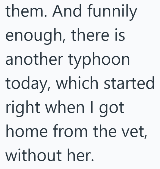 them. And funnily enough, there is another typhoon today, which started right when I got home from the vet, without her.