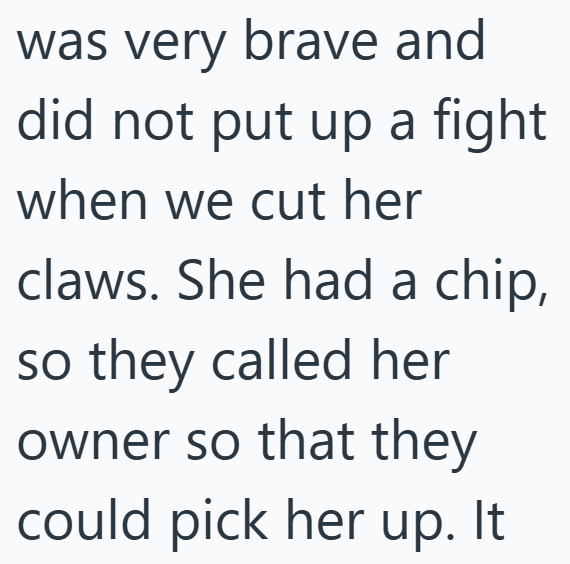 was very brave and did not put up a fight when we cut her claws. She had a chip, so they called her owner so that they could pick her up. It