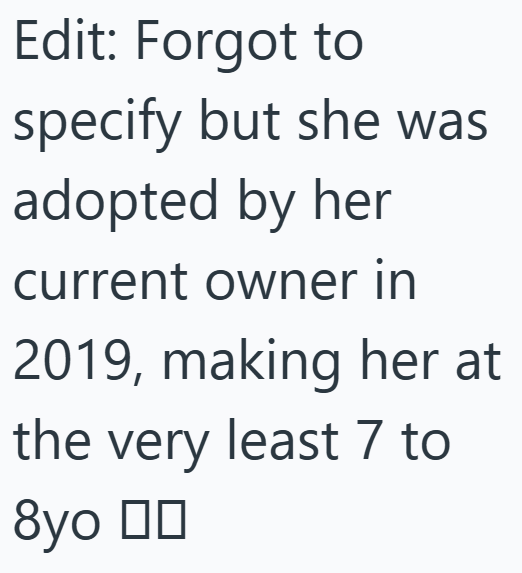 Edit: Forgot to specify but she was adopted by her current owner in 2019, making her at the very least 7 to 8yo