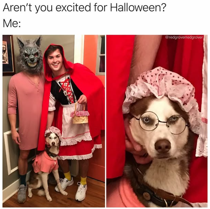 Aren't you excited for Halloween? Me: @redgroverredgrover
