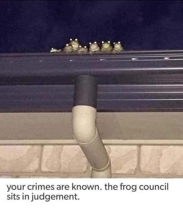 your crimes are known. the frog council sits in judgement.