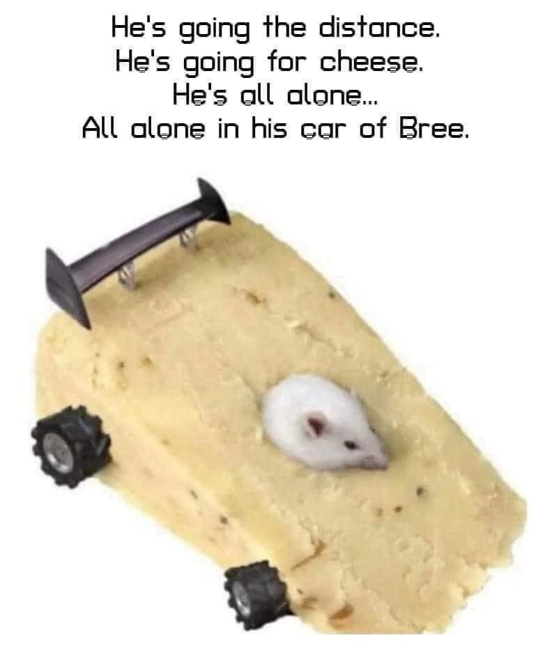 He's going the distance. He's going for cheese. He's all alone... All alone in his car of Bree.