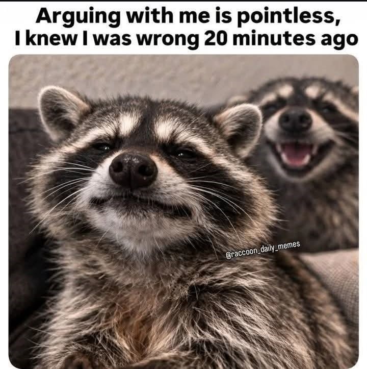 Arguing with me is pointless, I knew I was wrong 20 minutes ago Braccoon_daily_memes