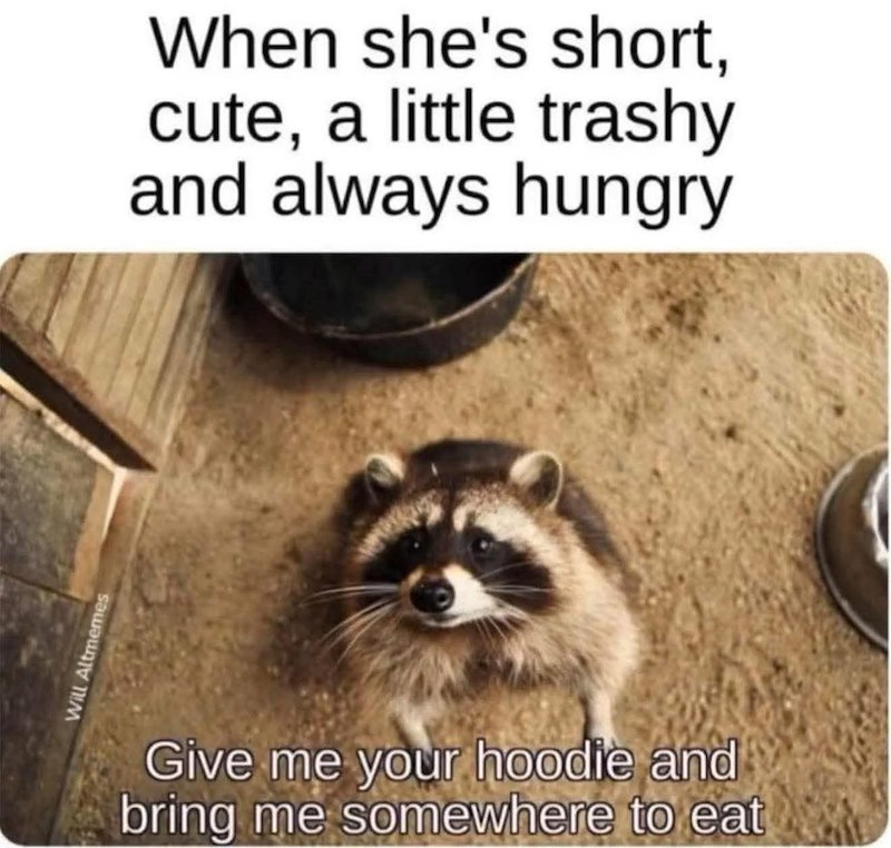 Will Altmemes When she's short, cute, a little trashy and always hungry Give me your hoodie and bring me somewhere to eat
