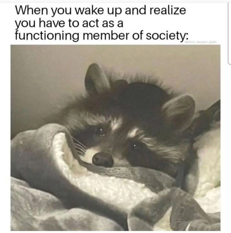 When you wake up and realize you have to act as a functioning member of society: