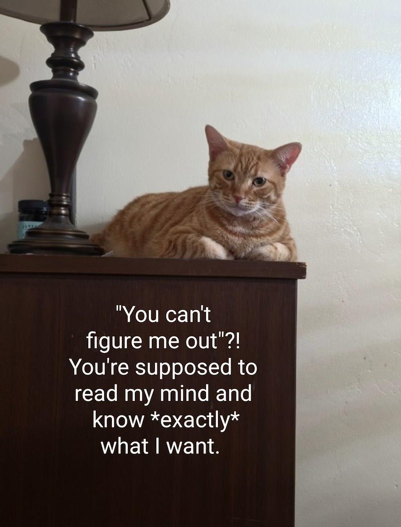 "You can't figure me out"?! You're supposed to read my mind and know *exactly* what I want.