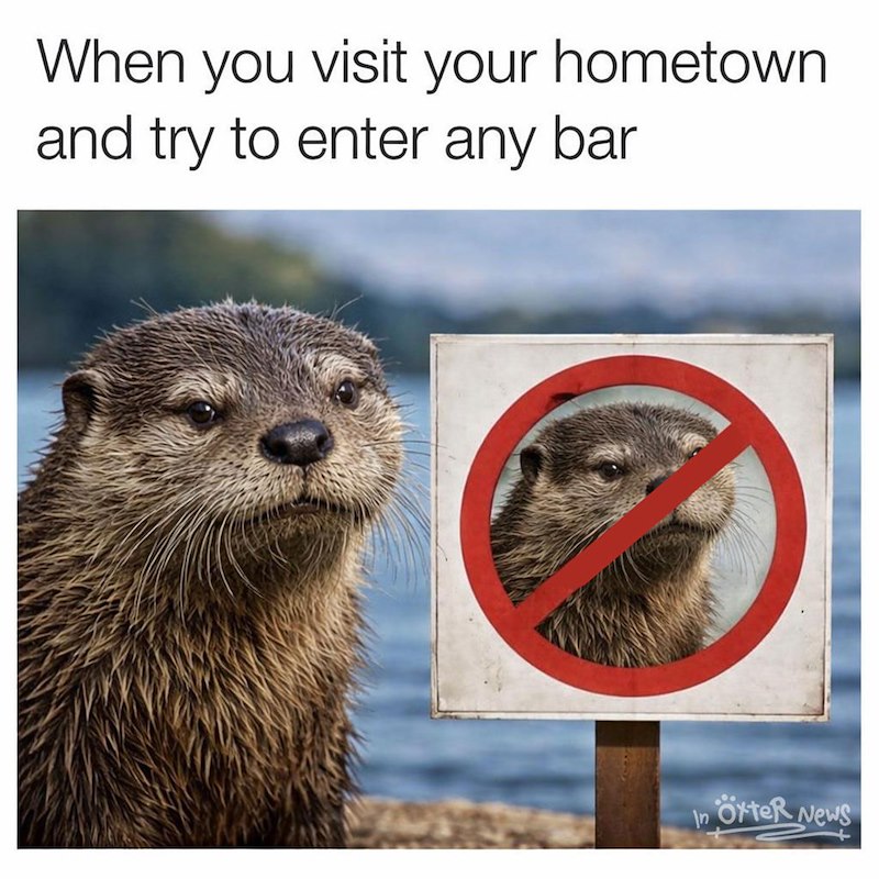 When you visit your hometown and try to enter any bar In örter News